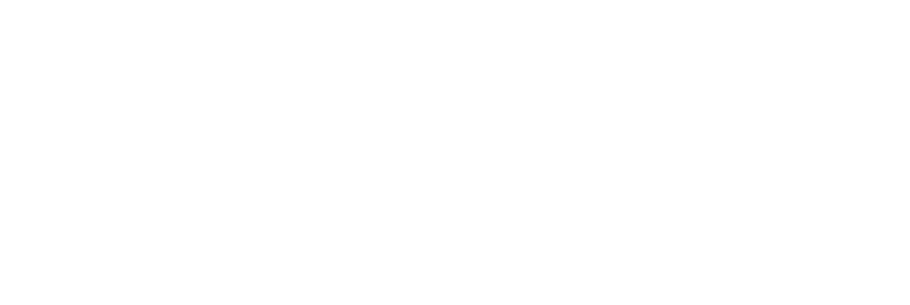 RAMI SILKS